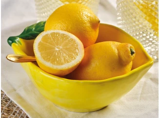 Miska Citron 12x6 cm, žlutá