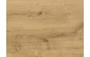 Šatní skříň Detroit, 250 cm, prkenný dub/antracitová ocel