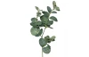 Umělá rostlina Eukalyptus 64 cm, zelená