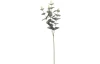 Umělá květina Eukalyptus větev, 65 cm