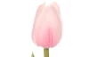 Umělá květina Tulipán 34 cm, světle růžová