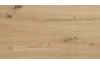 Šatní skříň se zásuvkami Digit, 225 cm, béžová kašmír/dub artisan
